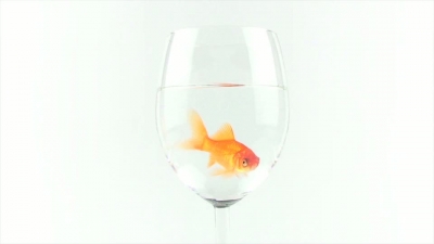 Wineglass With Fish