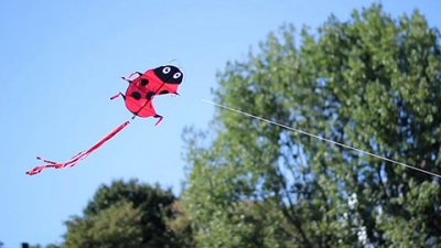 Ladybug Kite